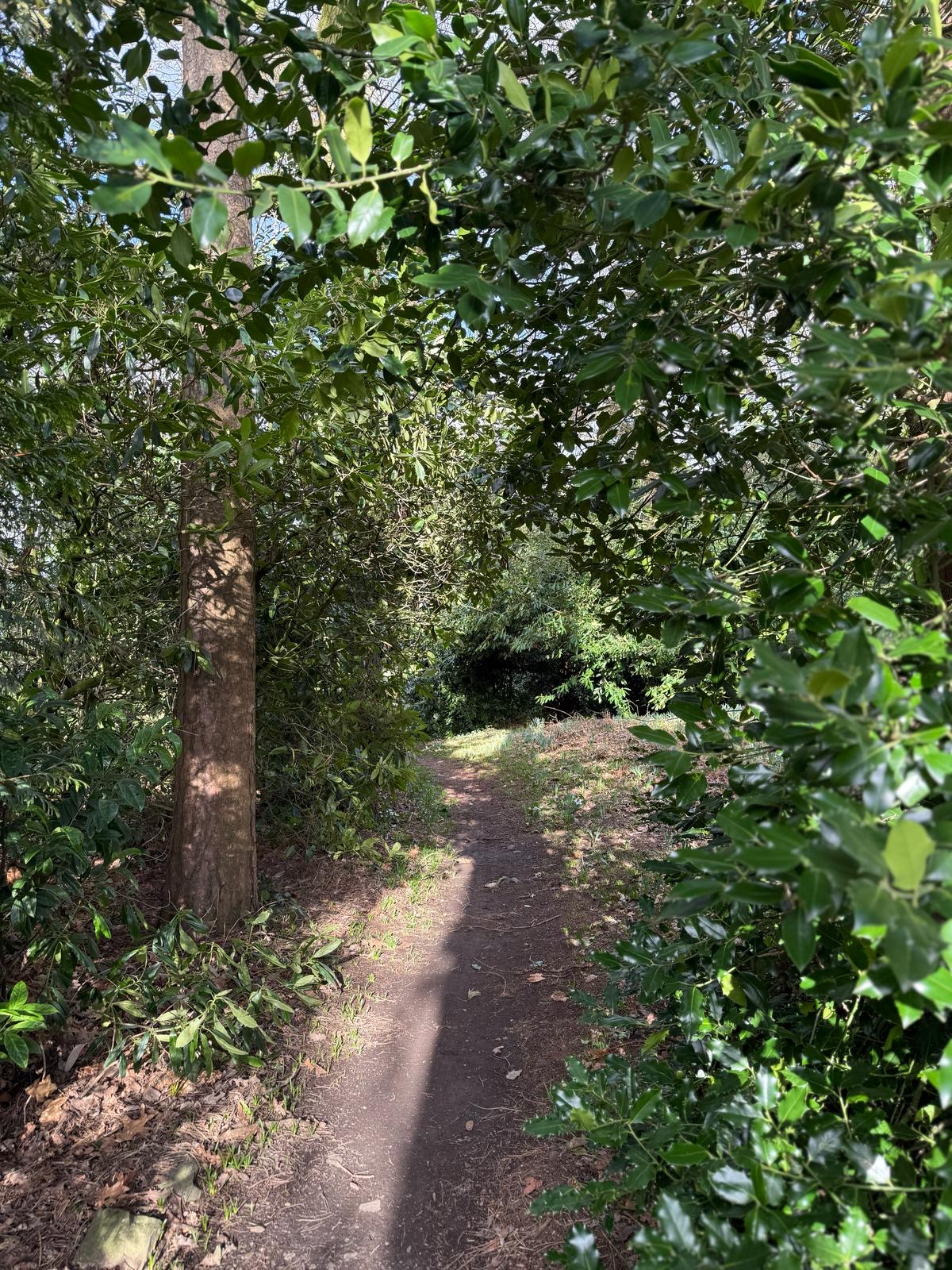 c4aca22e-83ce-4529-8075-678918b6a149