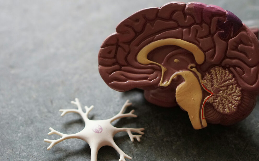 Dementia: early signs, what to do next, and where to get support in the UK