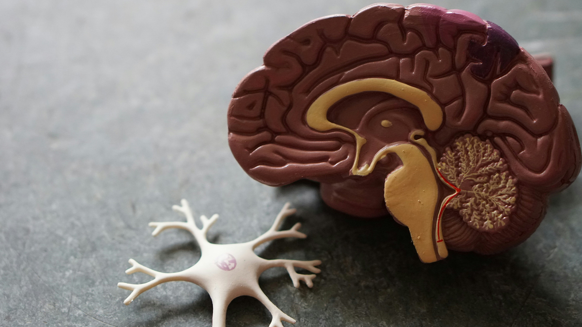 Early signs of dementia